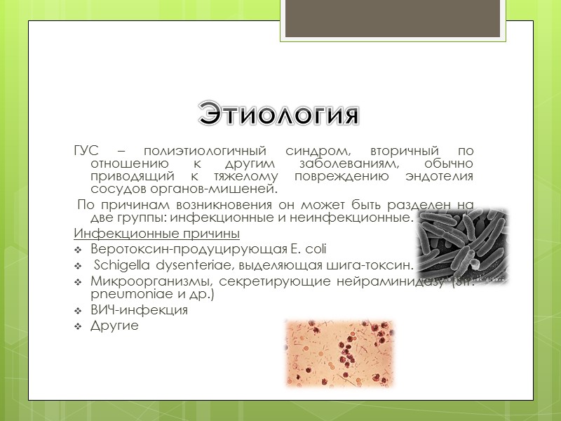 Этиология   ГУС – полиэтиологичный синдром, вторичный по отношению к другим заболеваниям, обычно